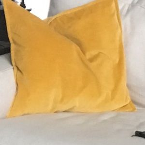 Pottery Barn gently used gold velvet pillow cover